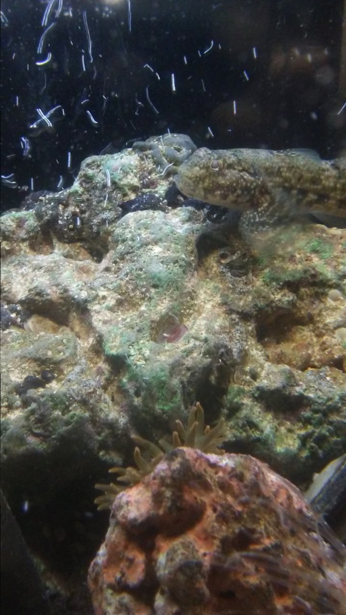 20161128_202711.jpg