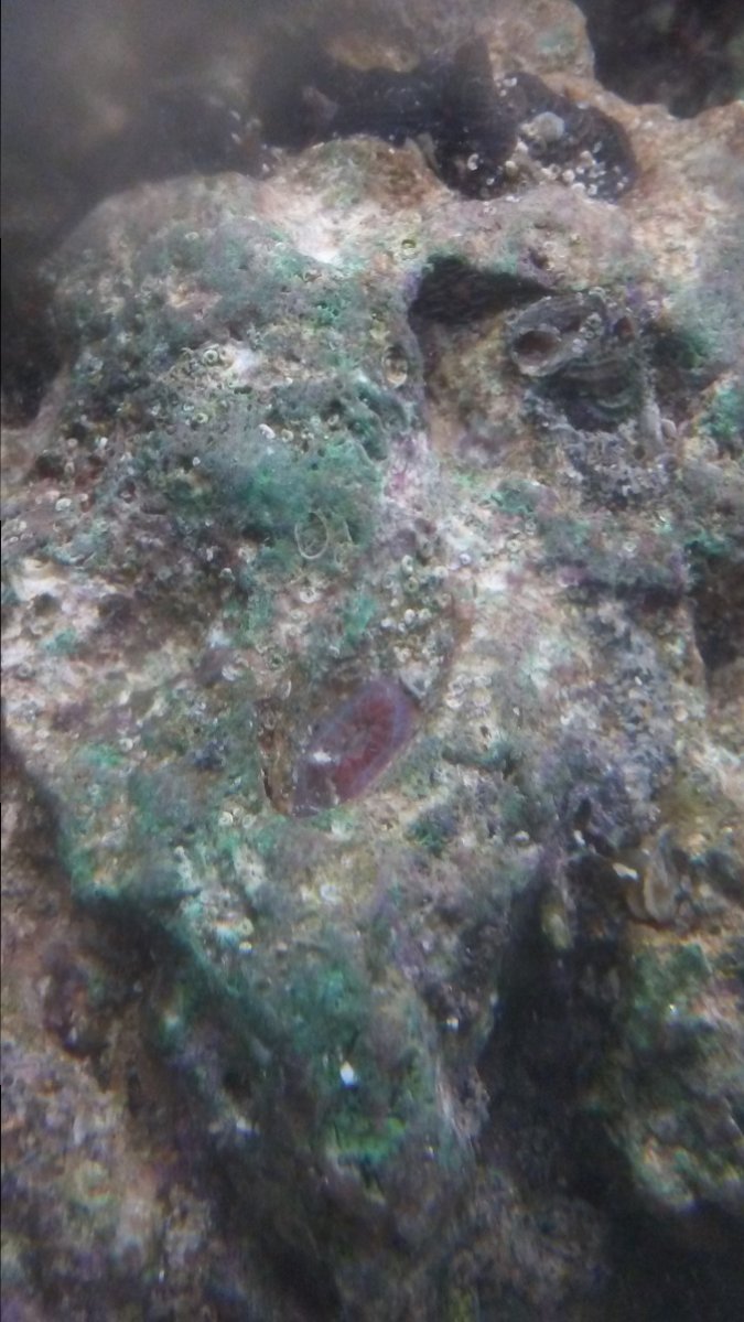 20161128_203045.jpg