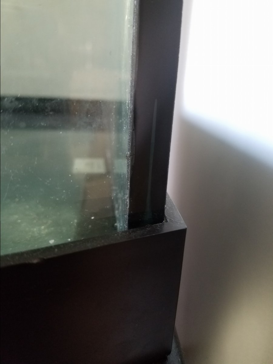 20161129_132909.jpg