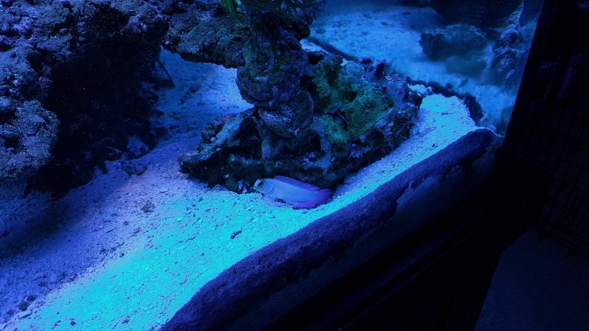 20161129_144734-01.jpeg