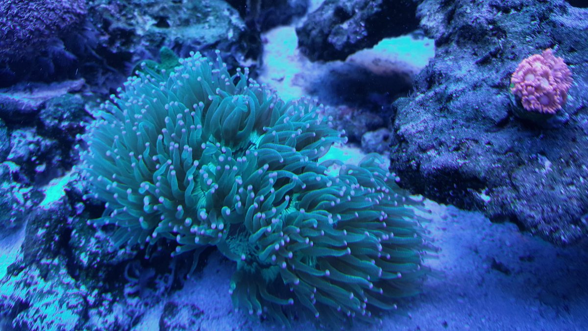 20161129_144754-01.jpeg