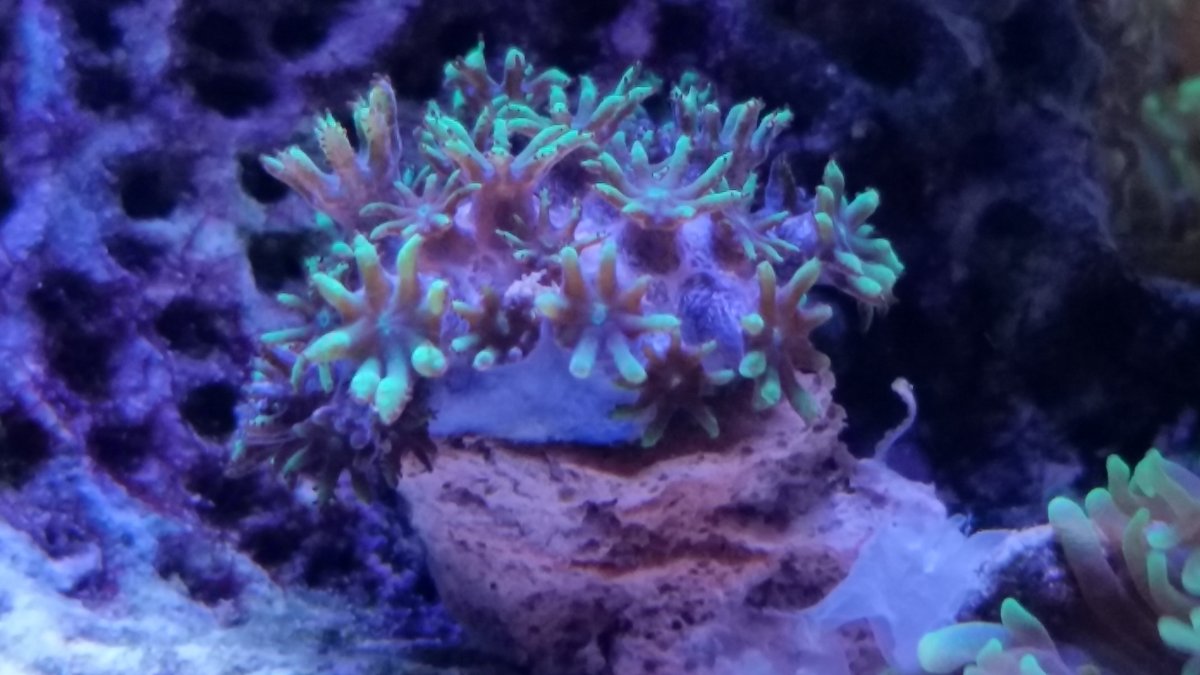 20161202_213344.jpg