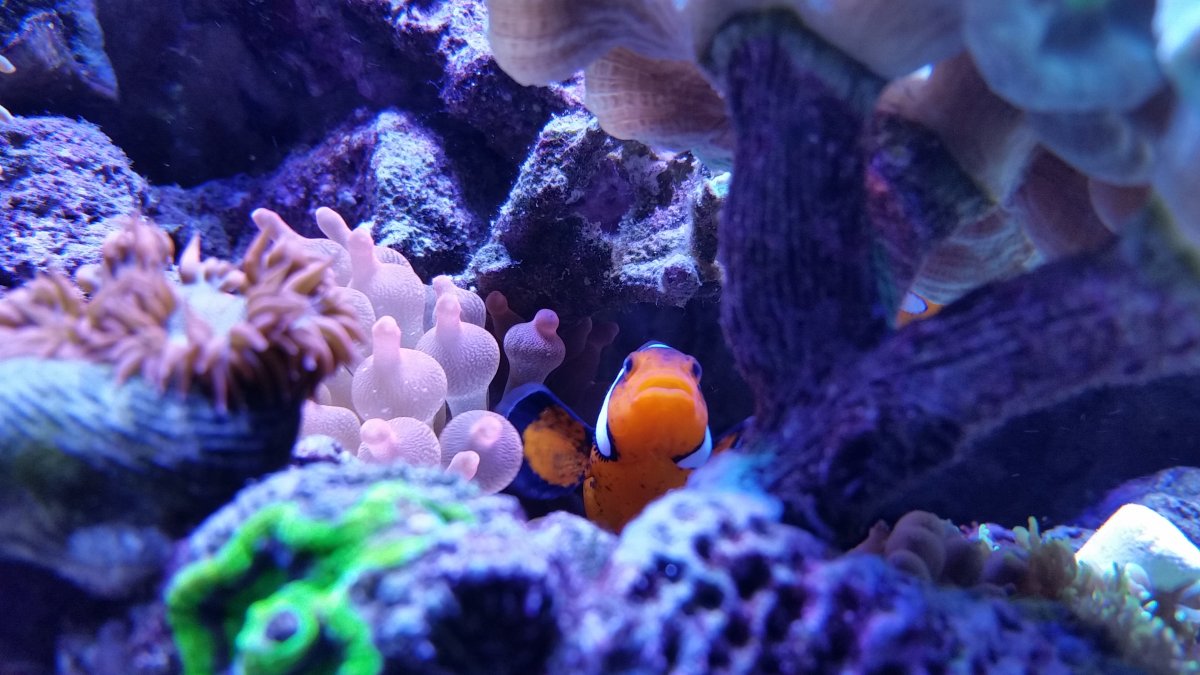 20161202_213614.jpg