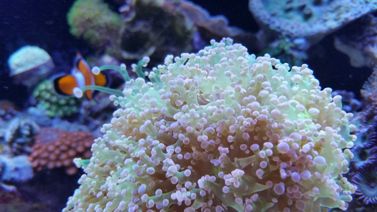 20161202_213927.jpg