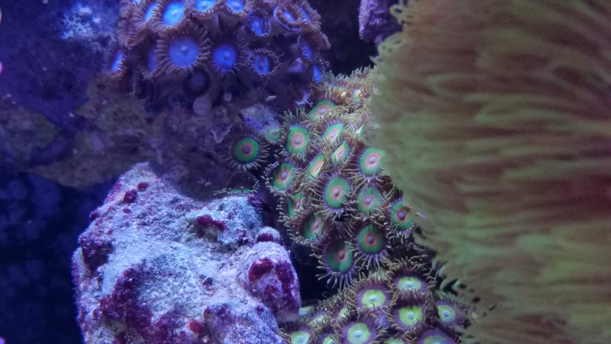 20161202_214403.jpg