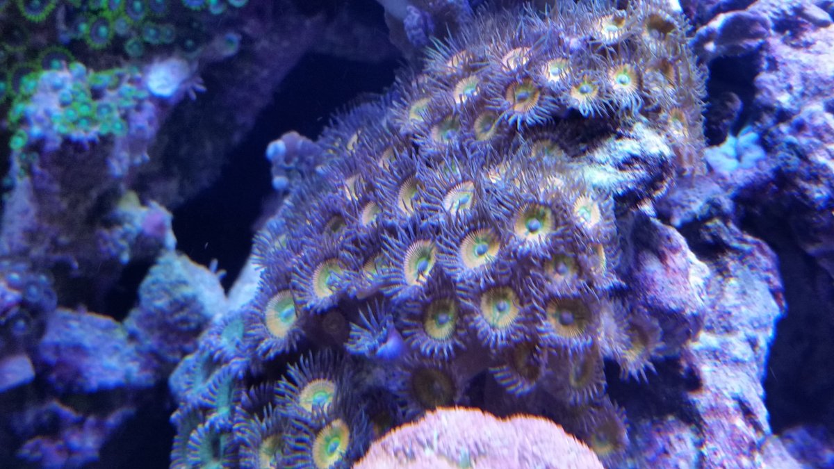 20161202_214520.jpg