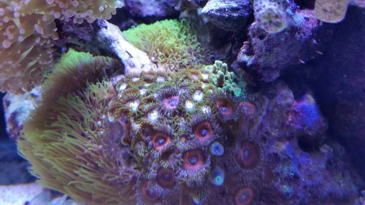 20161202_214651.jpg