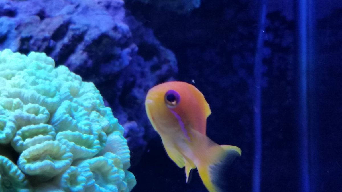 20161202_215058.jpg