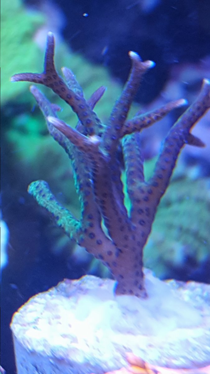 20161203_212624.jpg