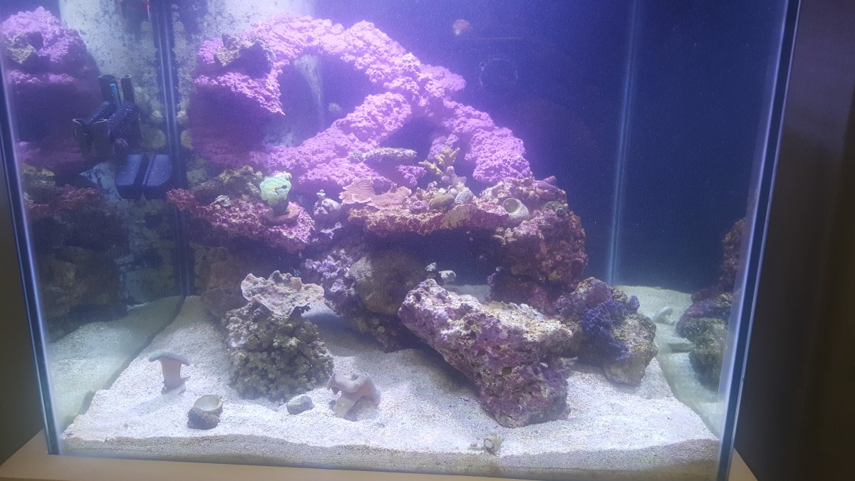 20161204_163310.jpg