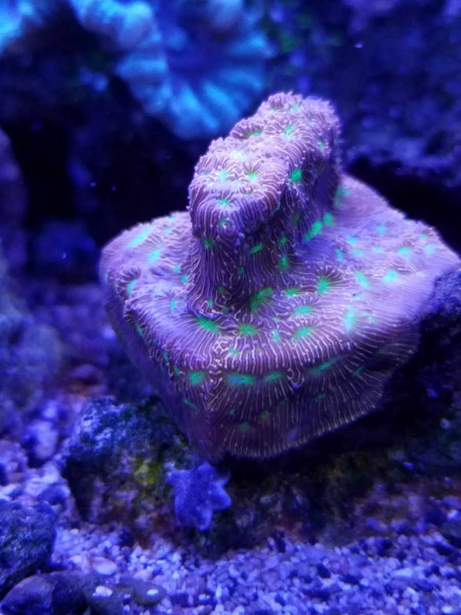 20161204_182905.jpg