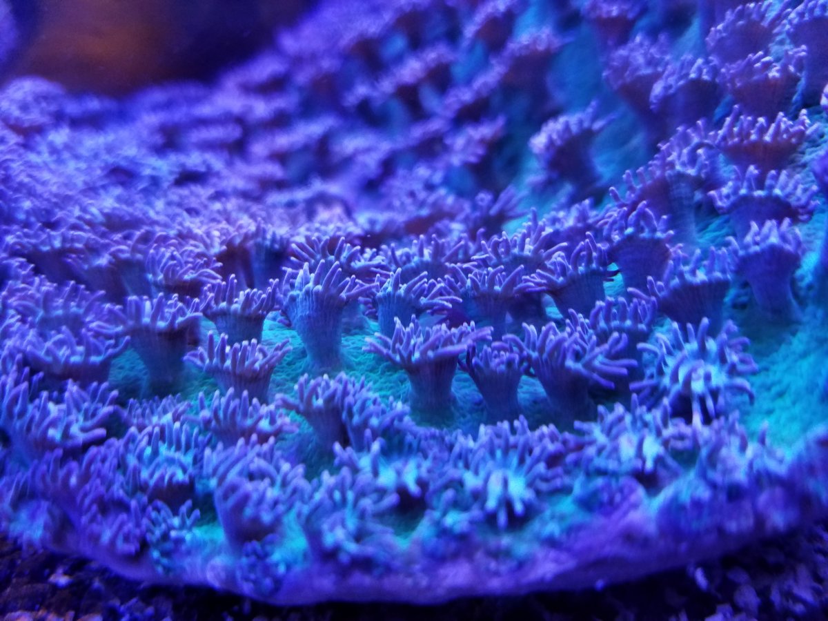 20161204_183000.jpg