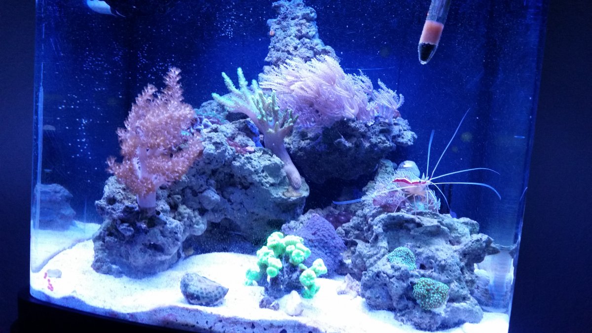 20161205_200848.jpg