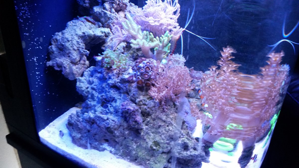 20161205_200913.jpg