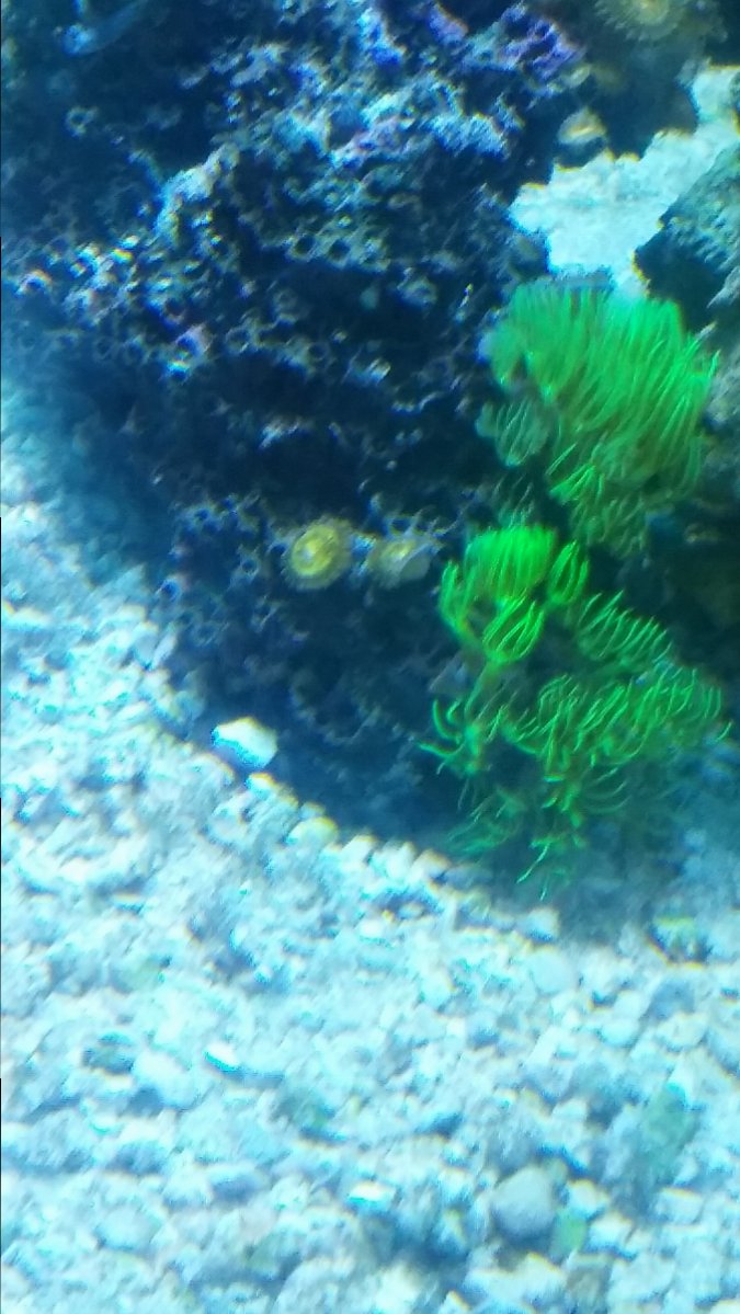 20161206_180036.jpg