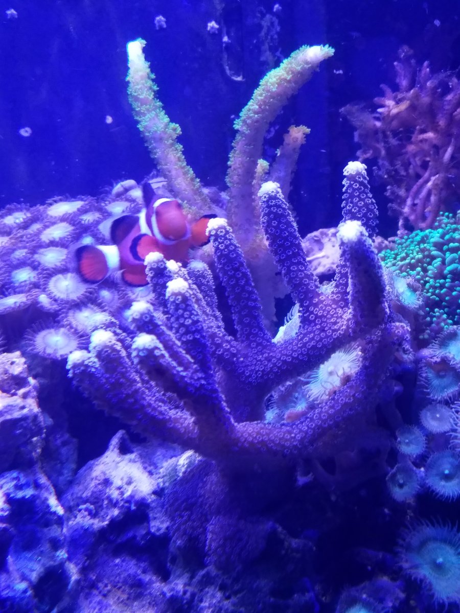 20161207_173141.jpg