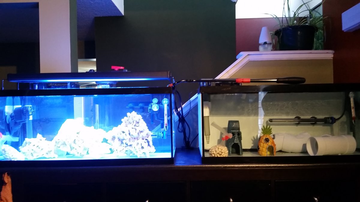 20161209_092337.jpg