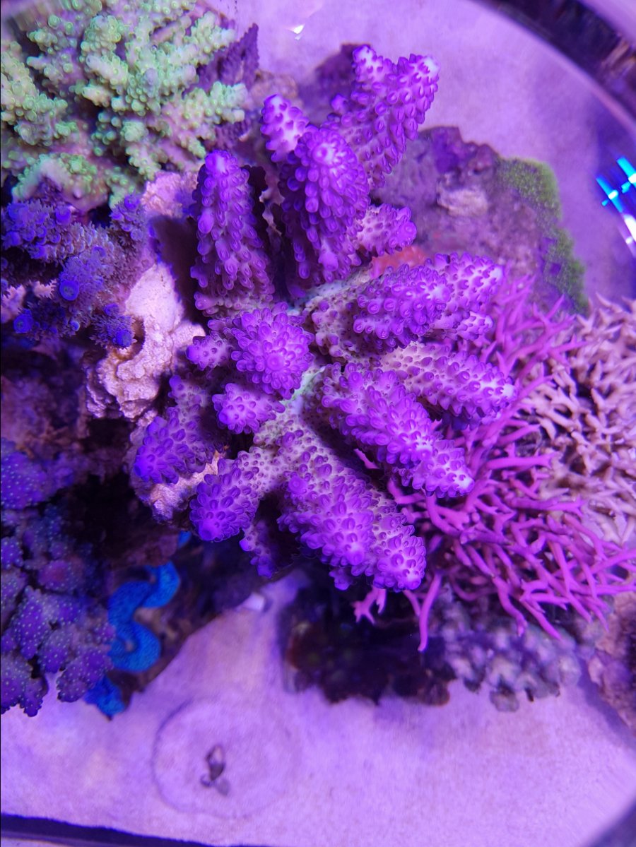 20161209_210219.jpg