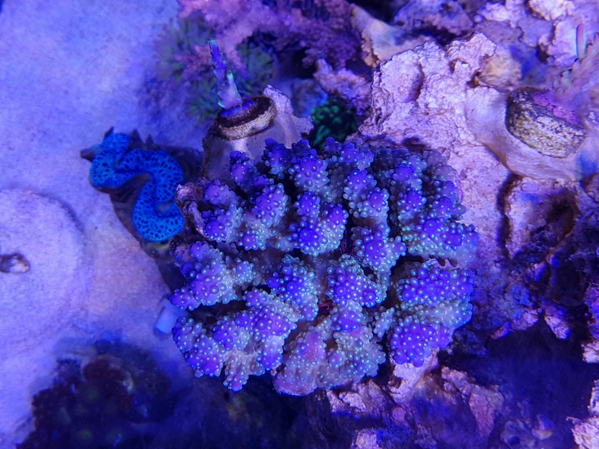 20161209_210302.jpg