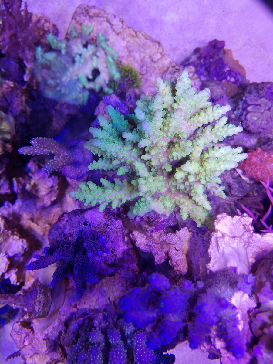 20161209_210318.jpg
