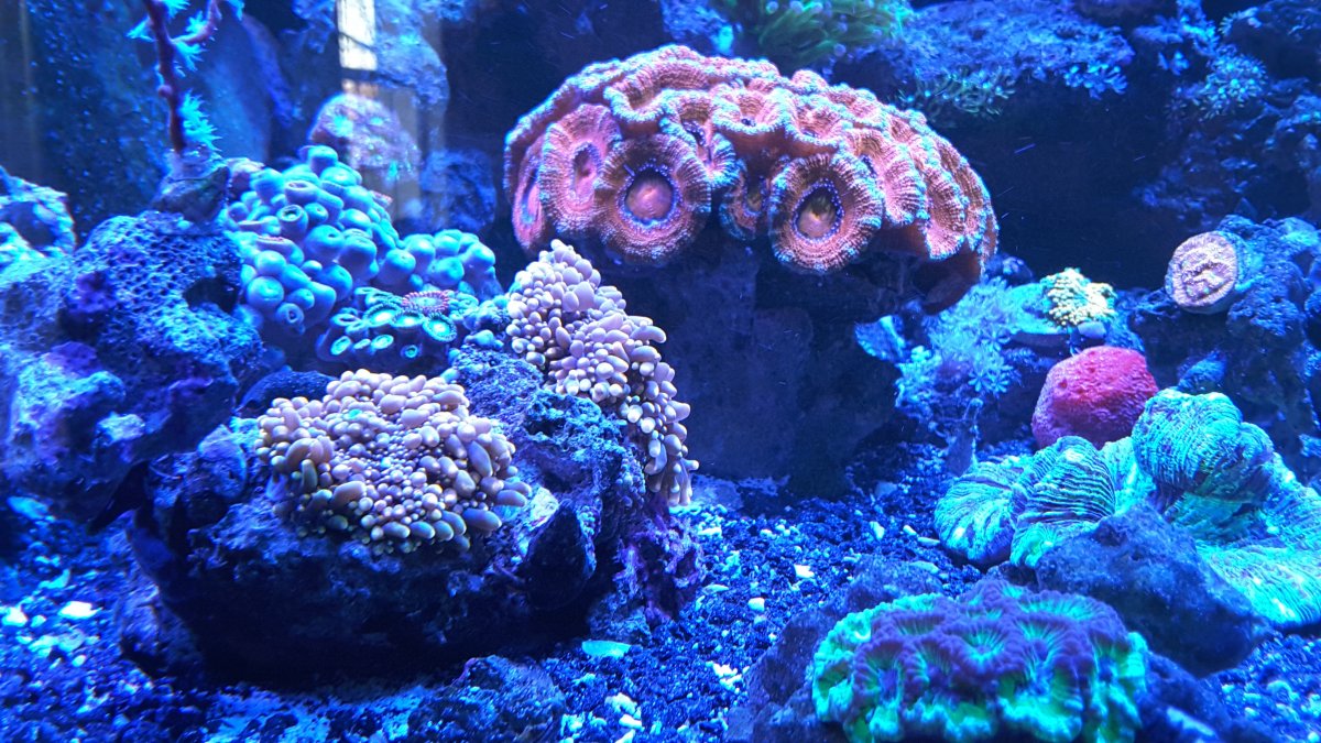 20161210_152128.jpg