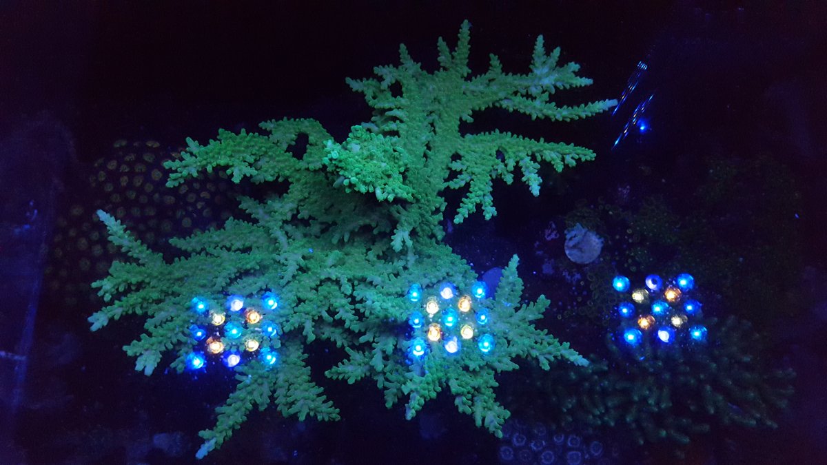 20161211_164244.jpg