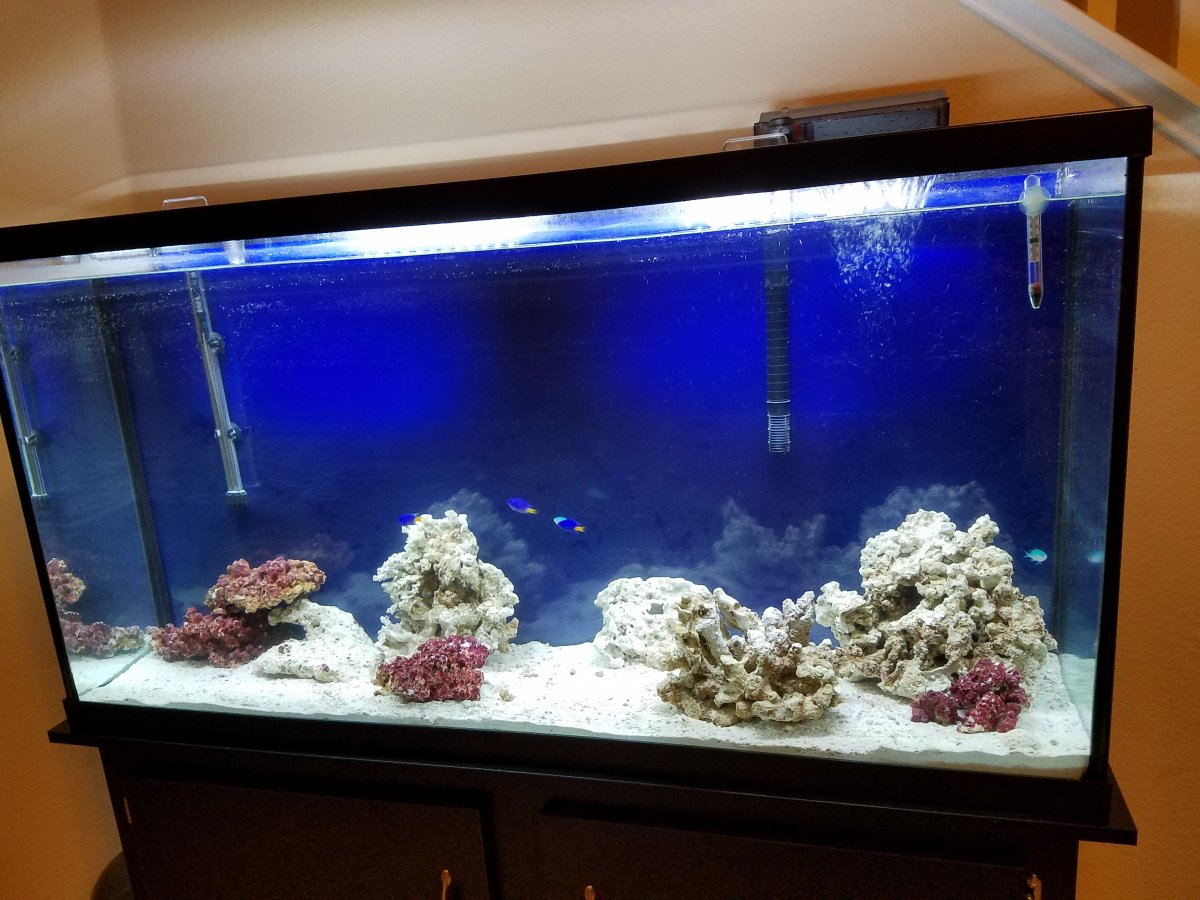 20161213_183531.jpg