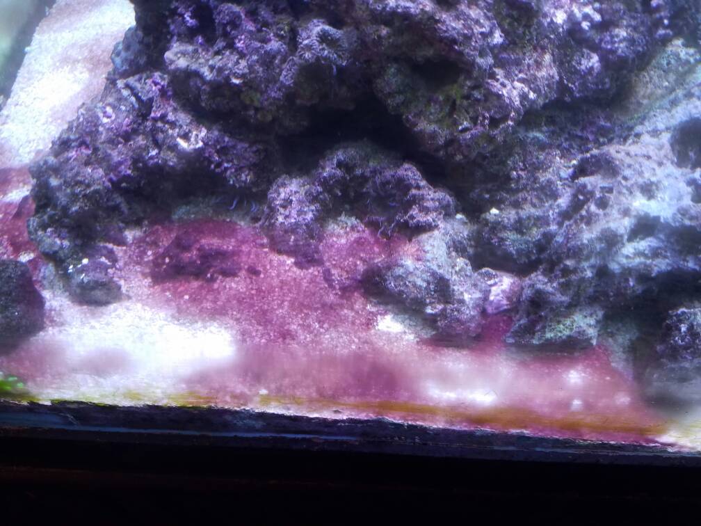 20161214_163733.jpg