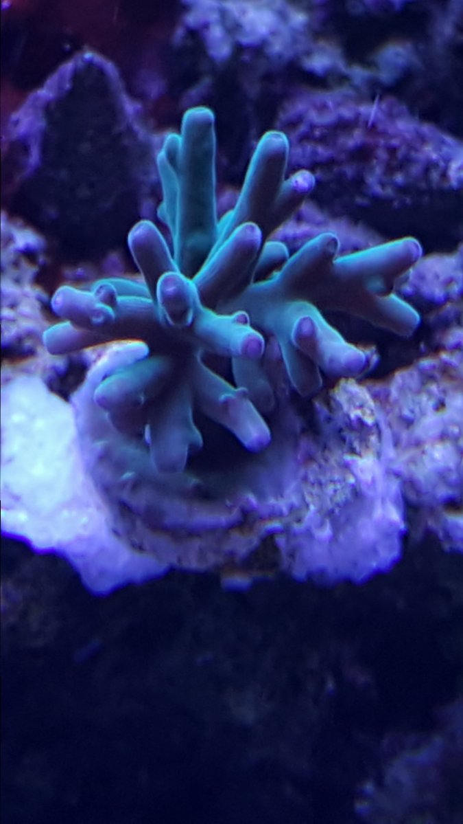 20161215_160156.jpg