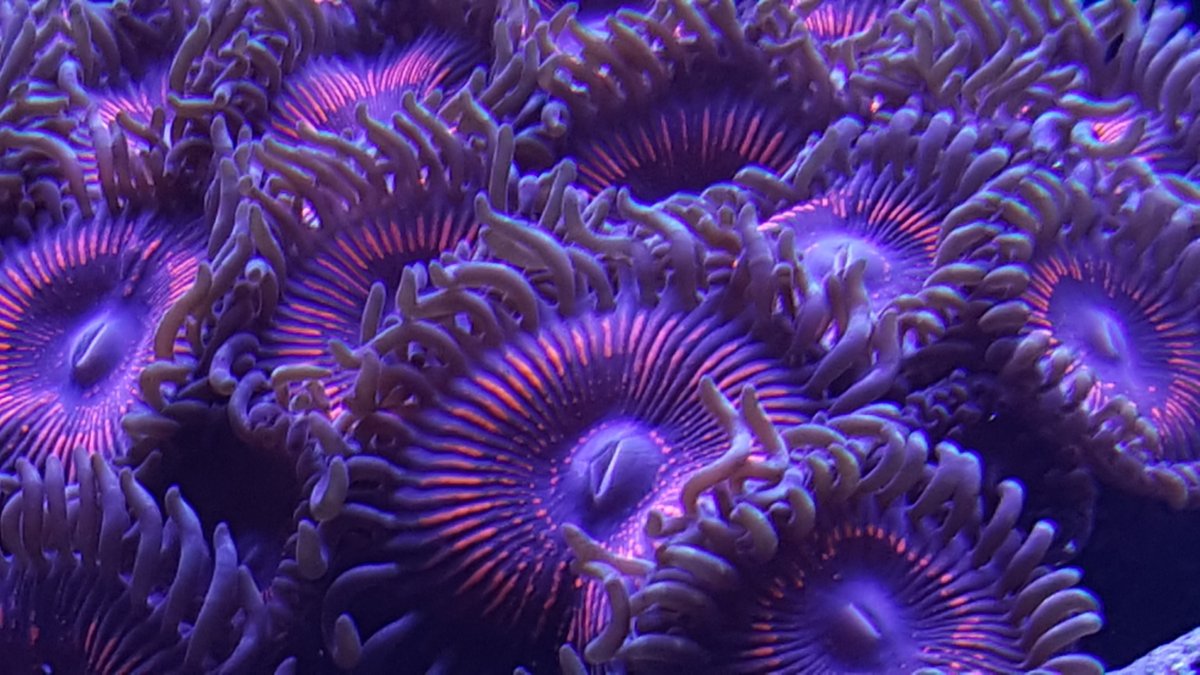 20161215_162457.jpg