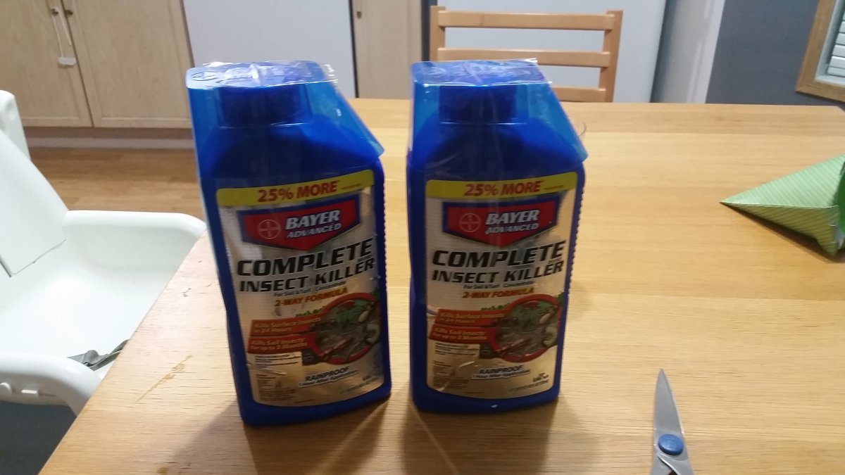 20161216_185550.jpg