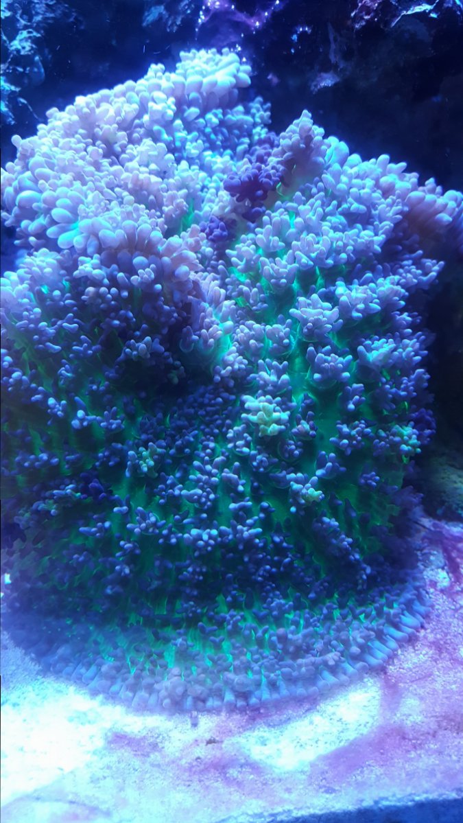 20161218_153325.jpg