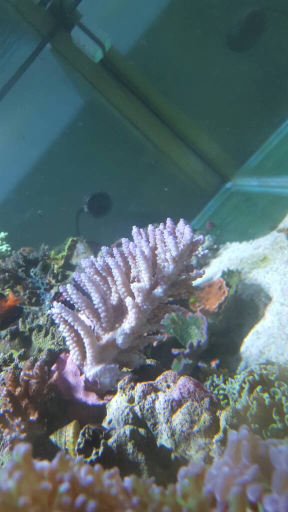 20161218_192726.jpg