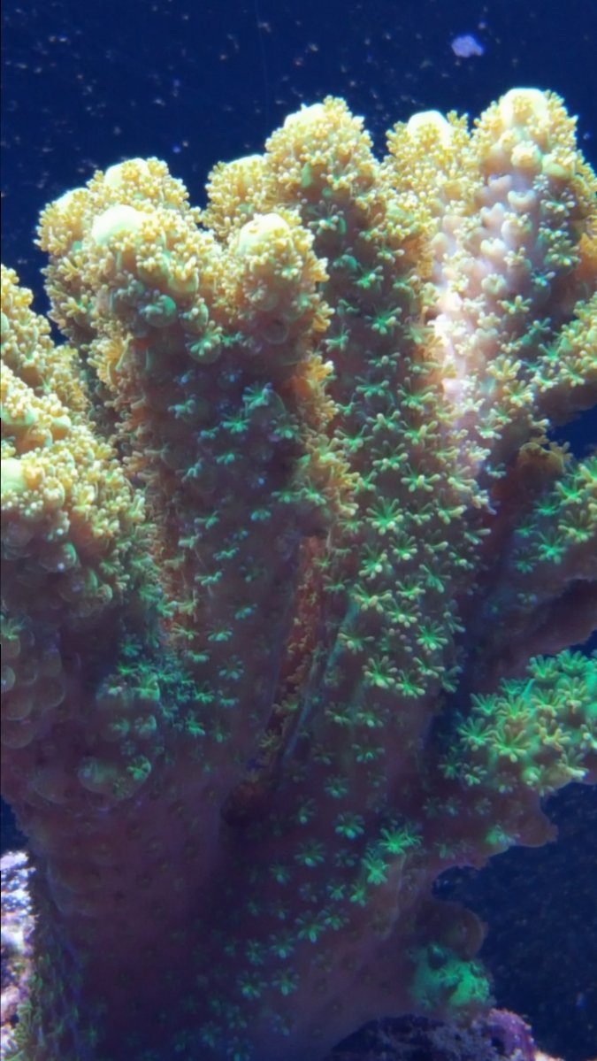 20161220_182144.jpg