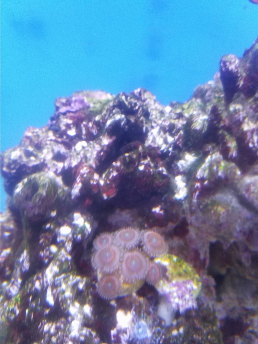 20161222_102935.jpg