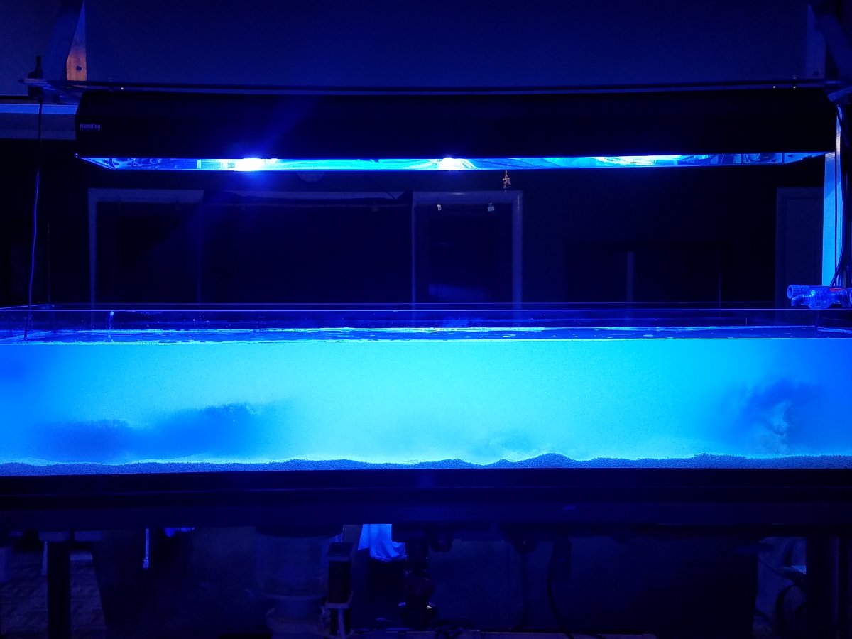 20161225_013902.jpg