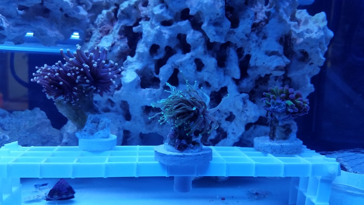 20161225_161721.jpg