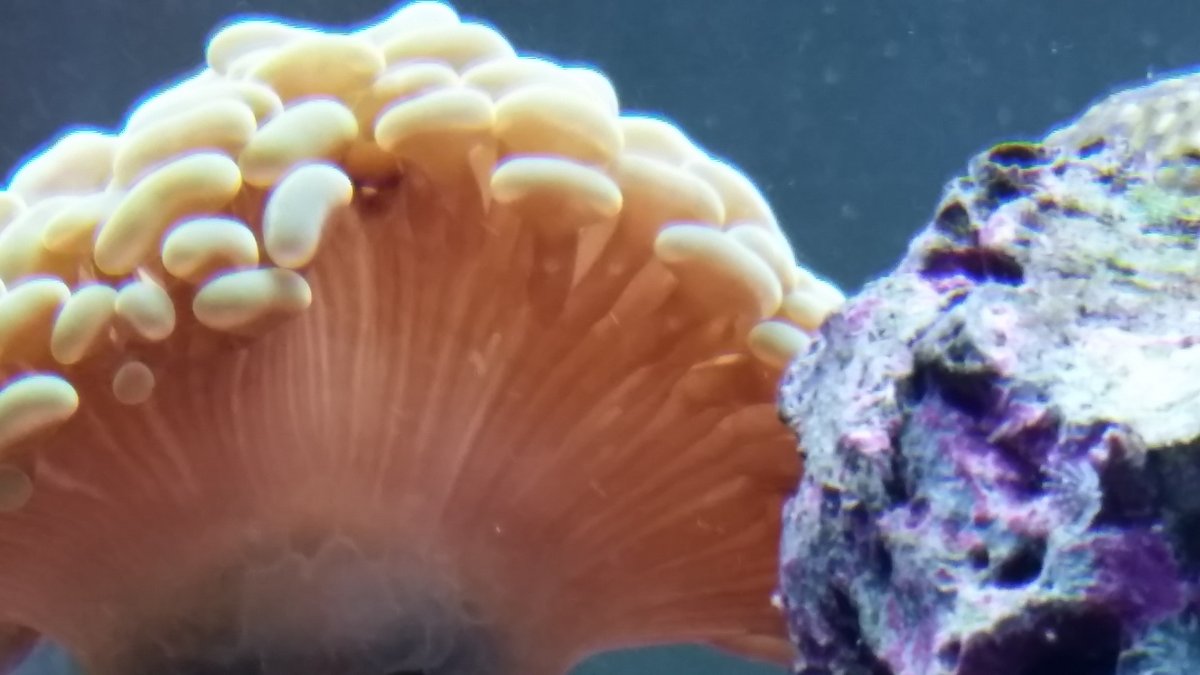 20161226_000313.jpg