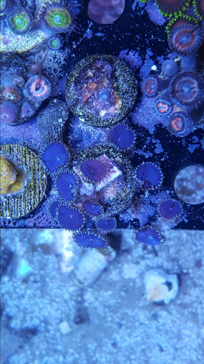 20161226_113955.jpg