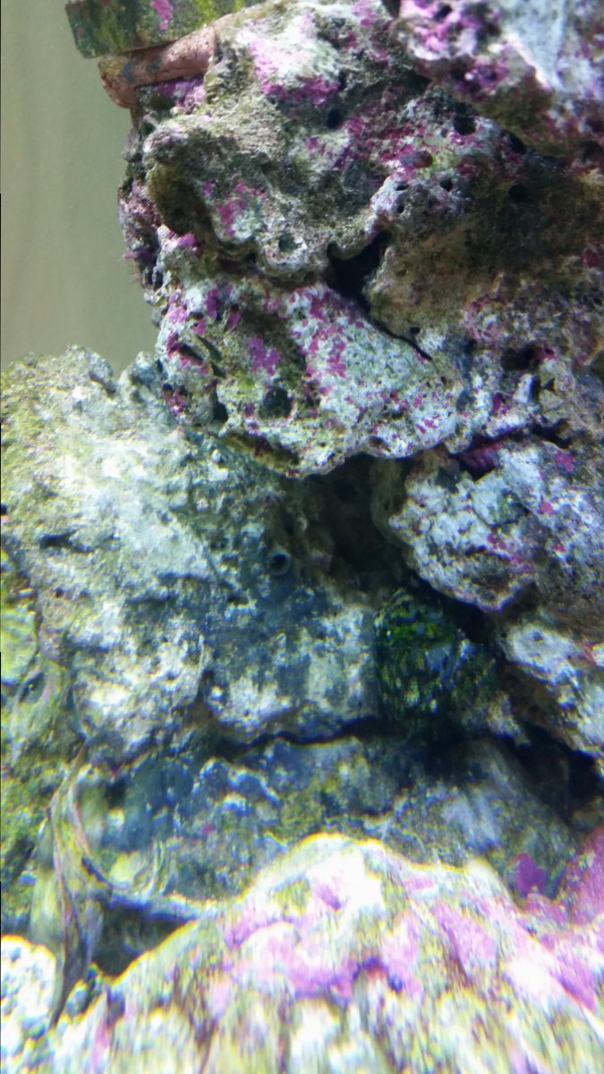 20161226_131815.jpg