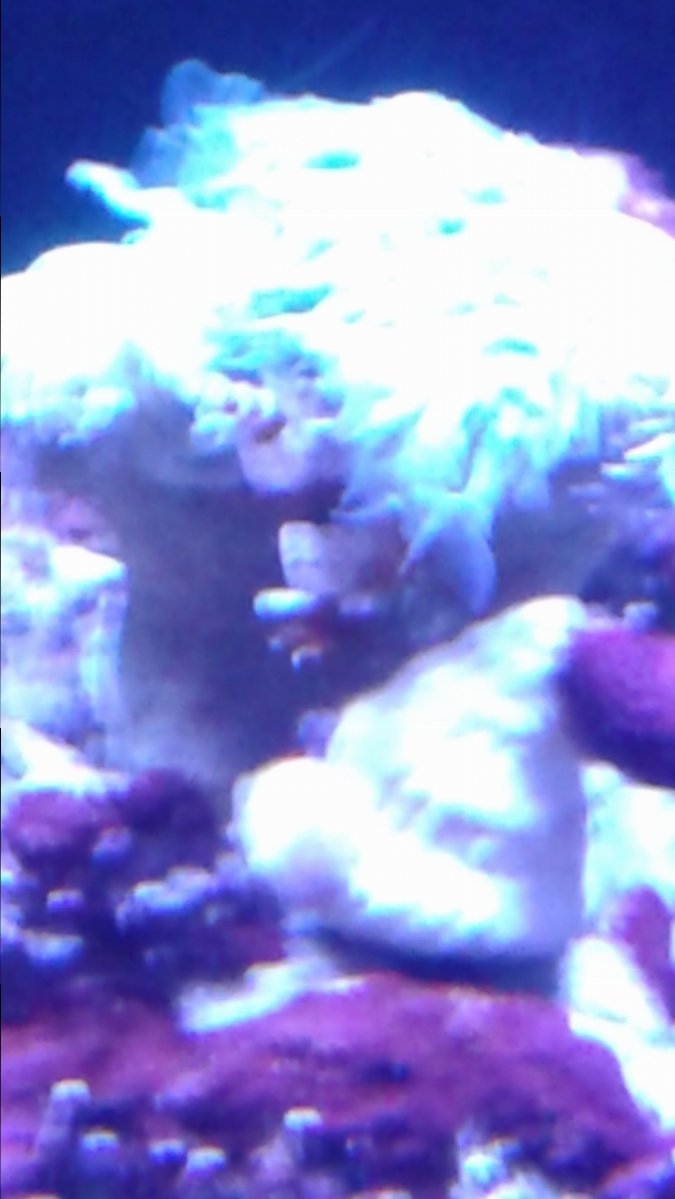 20161226_170244.jpg