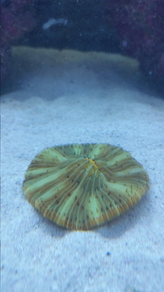 20161228_194458.jpg