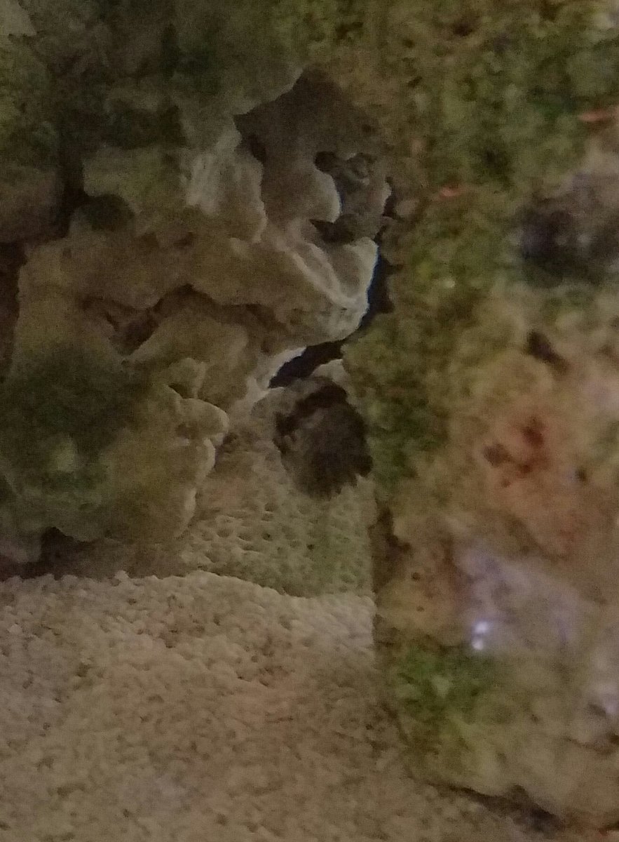 20161230_074332.jpg