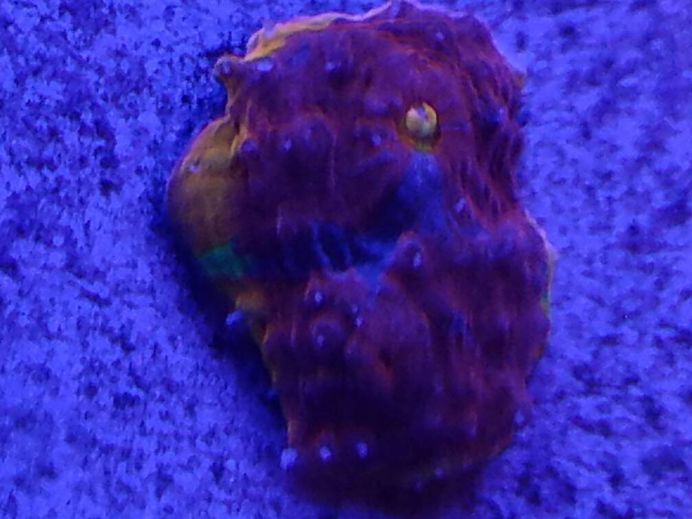 20161230_193336.jpg