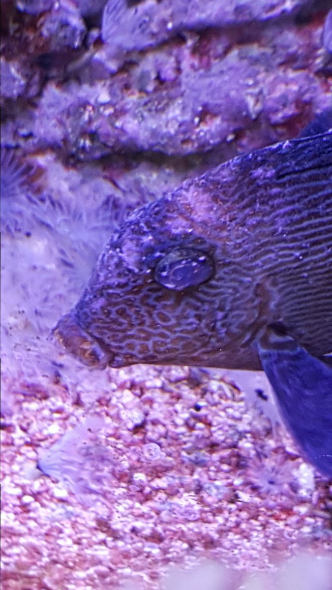 20170101_093747.jpg