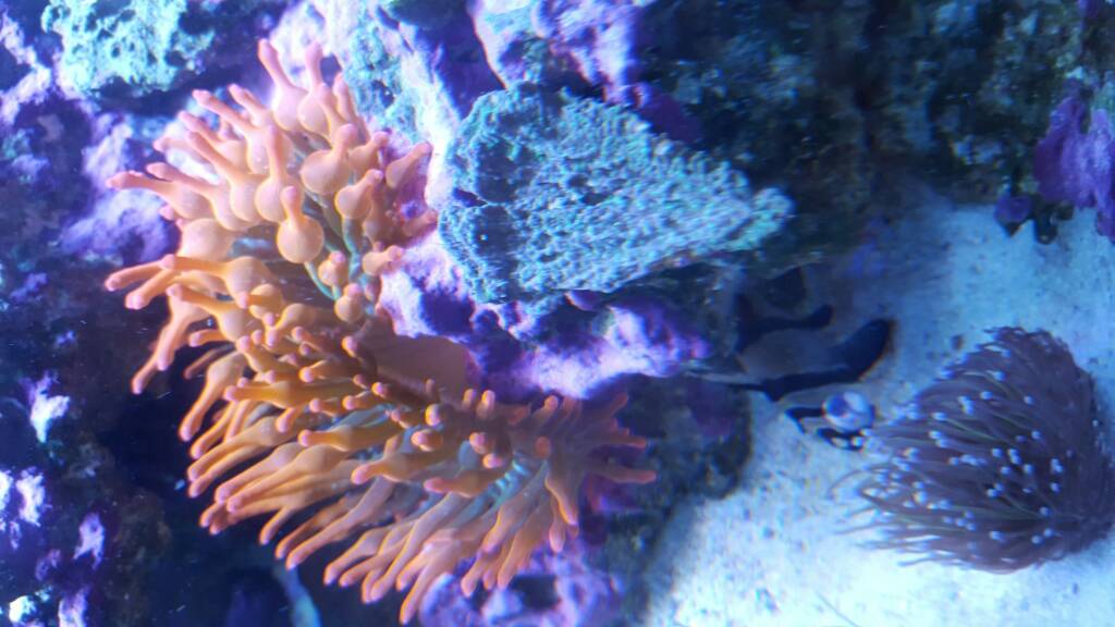 20170101_104031.jpg