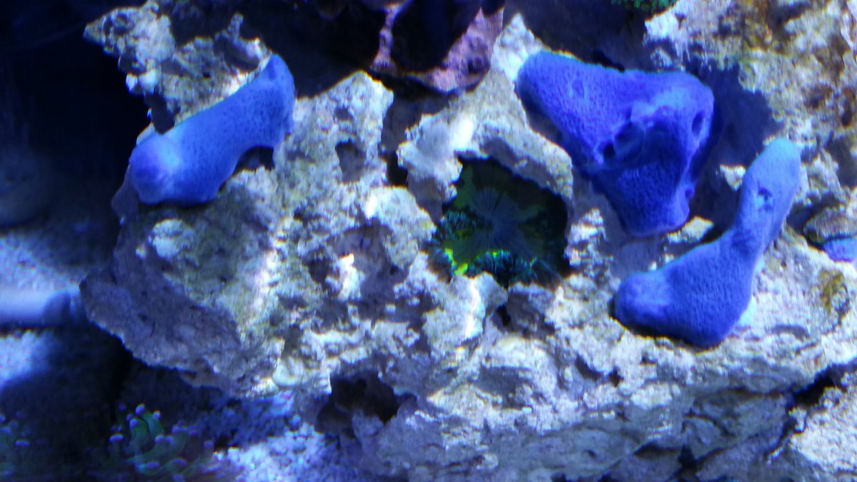 20170101_182605.jpg
