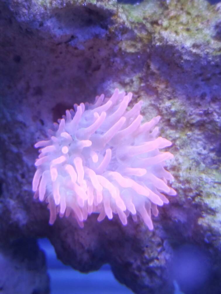 20170101_193128.jpg
