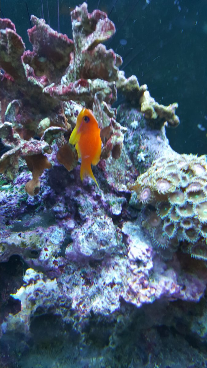 20170101_225021.jpg