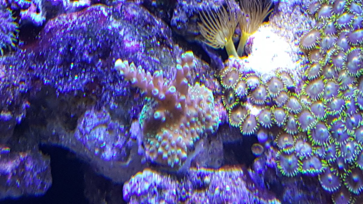 20170104_134733.jpg